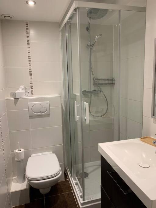 Duplex 3 Chambres Vue Mont-Blanc Domancy المظهر الخارجي الصورة