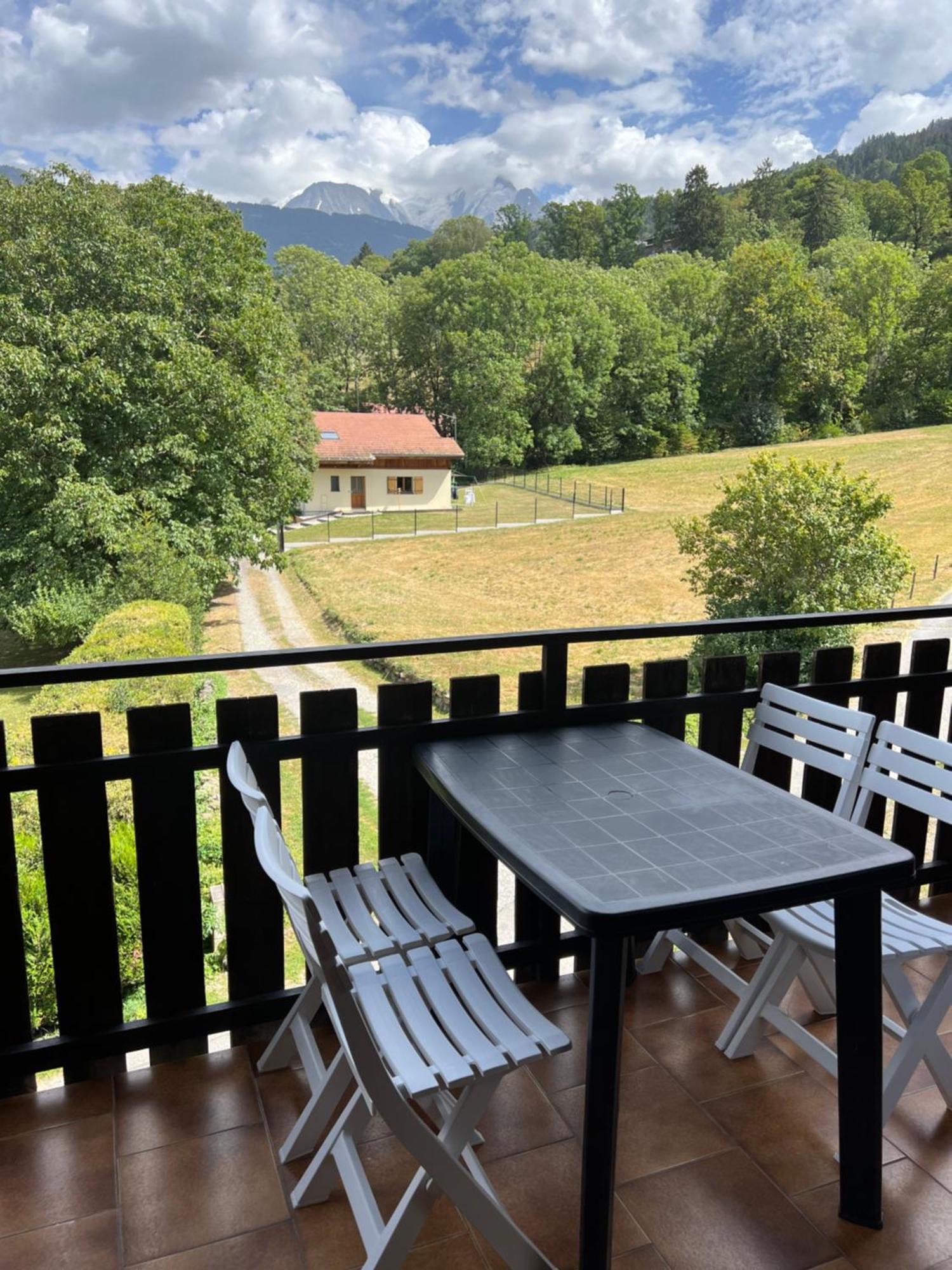 Duplex 3 Chambres Vue Mont-Blanc Domancy المظهر الخارجي الصورة
